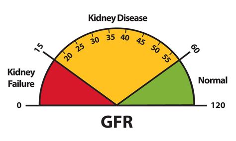 explain your kidney test results